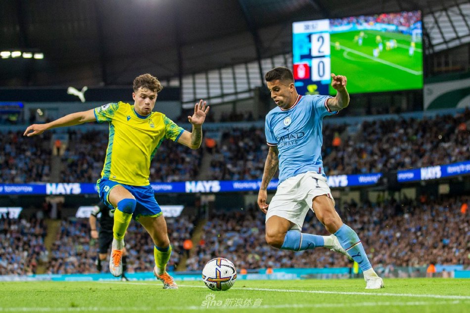 体育媒体报 体育媒体报